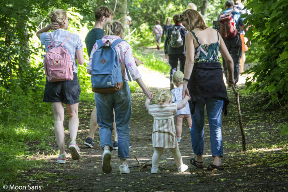 2turven in de duinen
